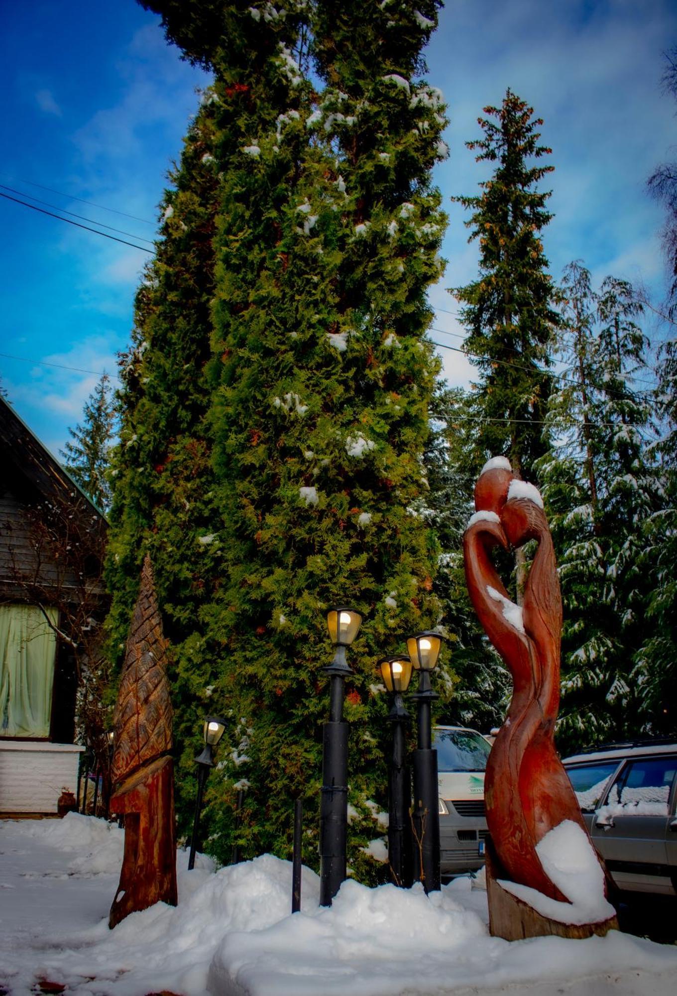 Breza Hotel Borowez Exterior foto